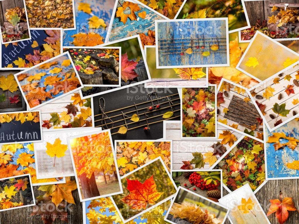 Autumn Collage Laptop Wallpapers