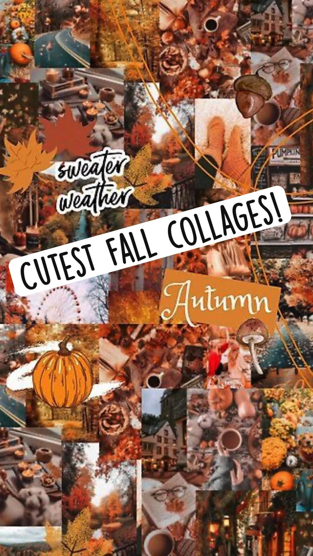 Autumn Collages Wallpapers