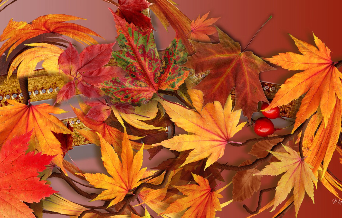 Autumn Collages Wallpapers