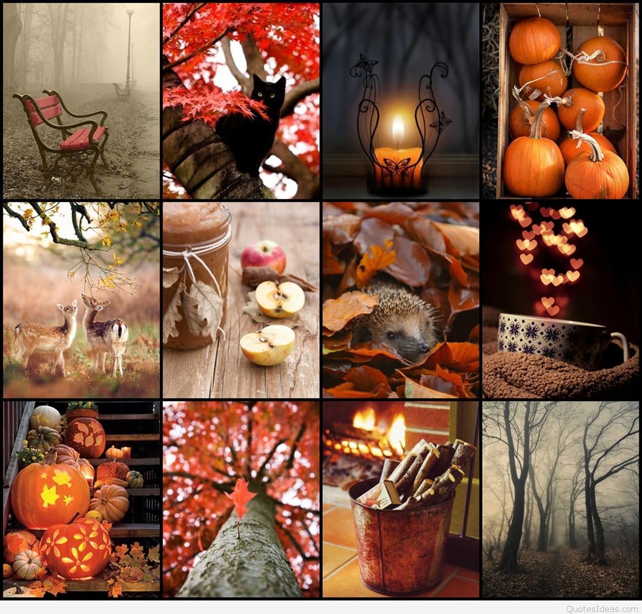 Autumn Collages Wallpapers