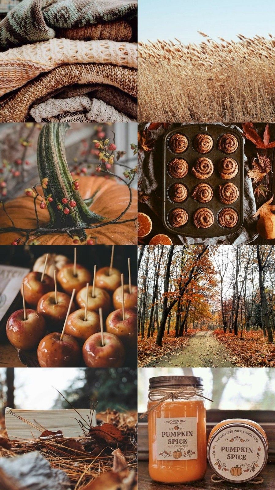 Autumn Collages Wallpapers