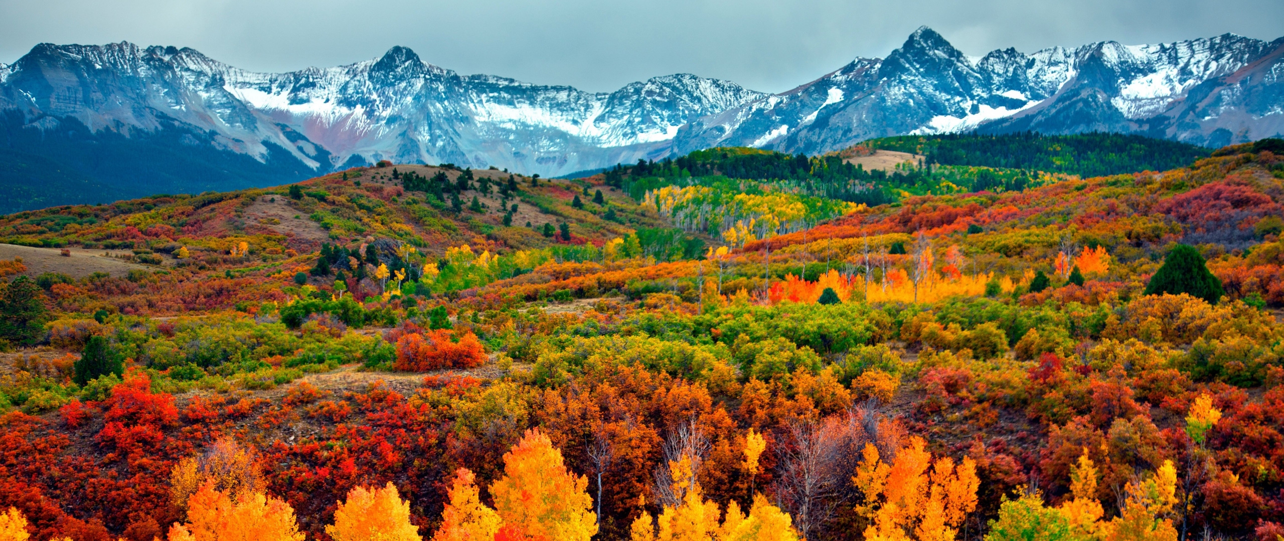 Autumn Colorado Wallpapers