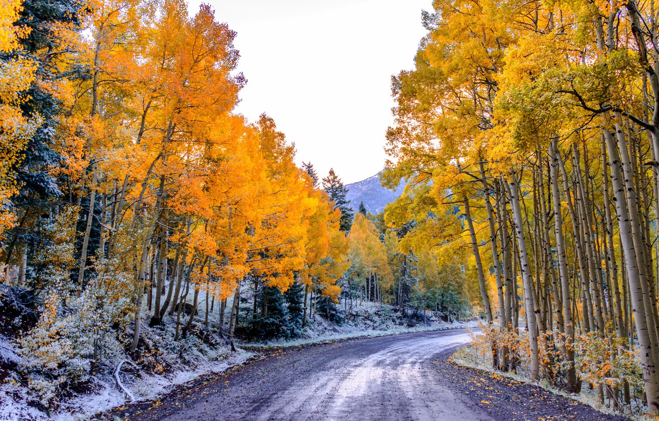 Autumn Colorado Wallpapers