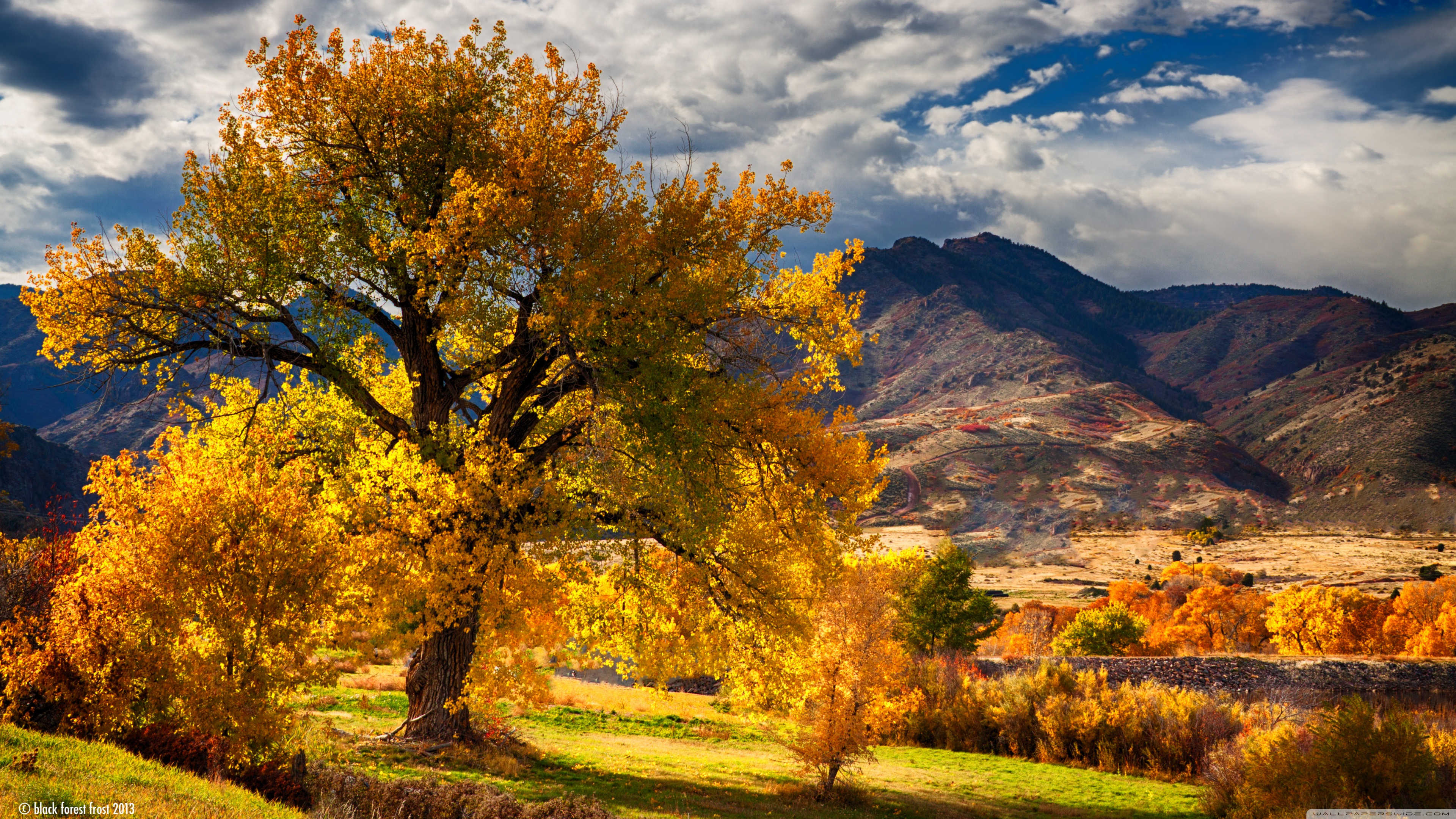 Autumn Colorado Wallpapers