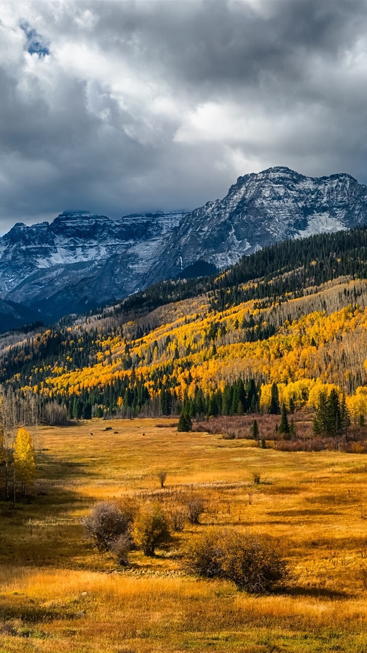 Autumn Colorado Wallpapers