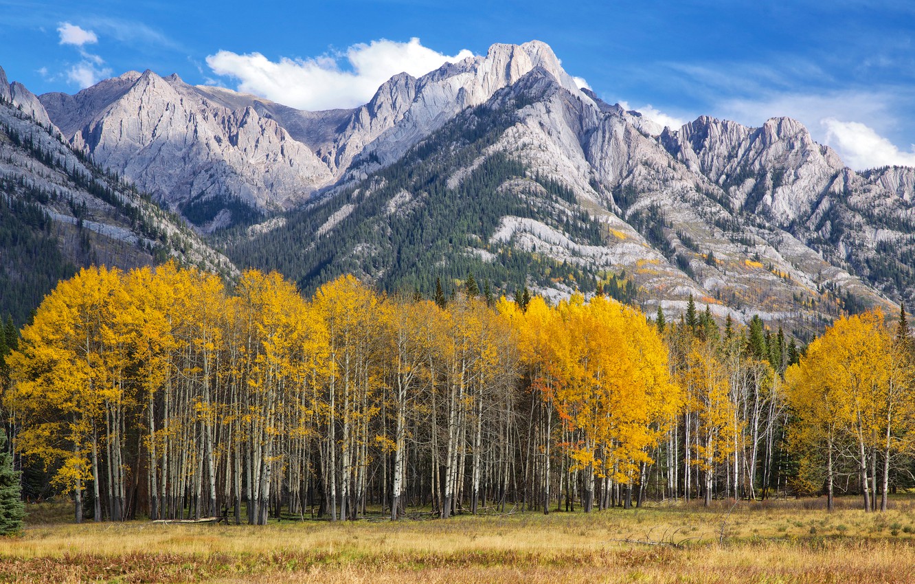 Autumn Colorado Wallpapers