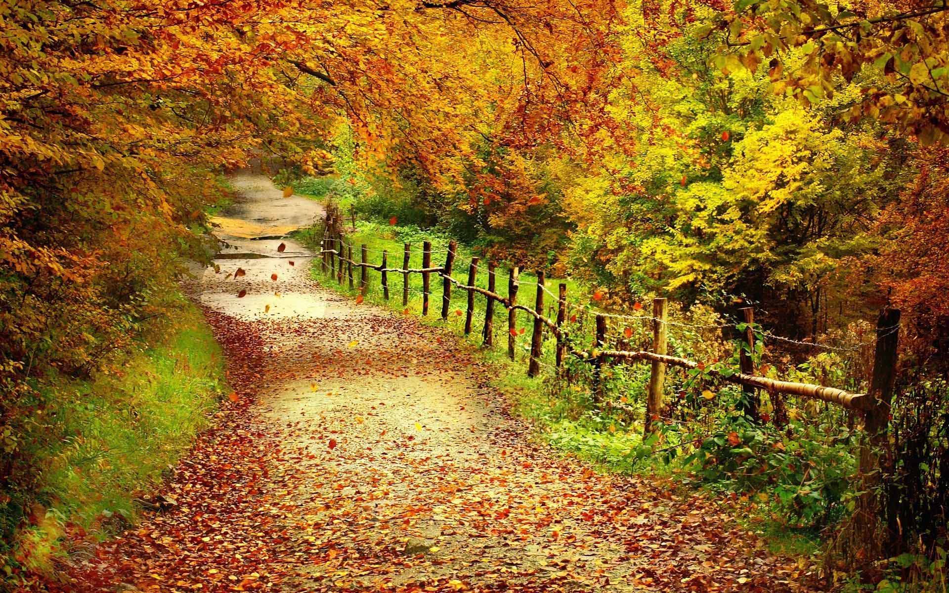 Autumn Colors Wallpapers