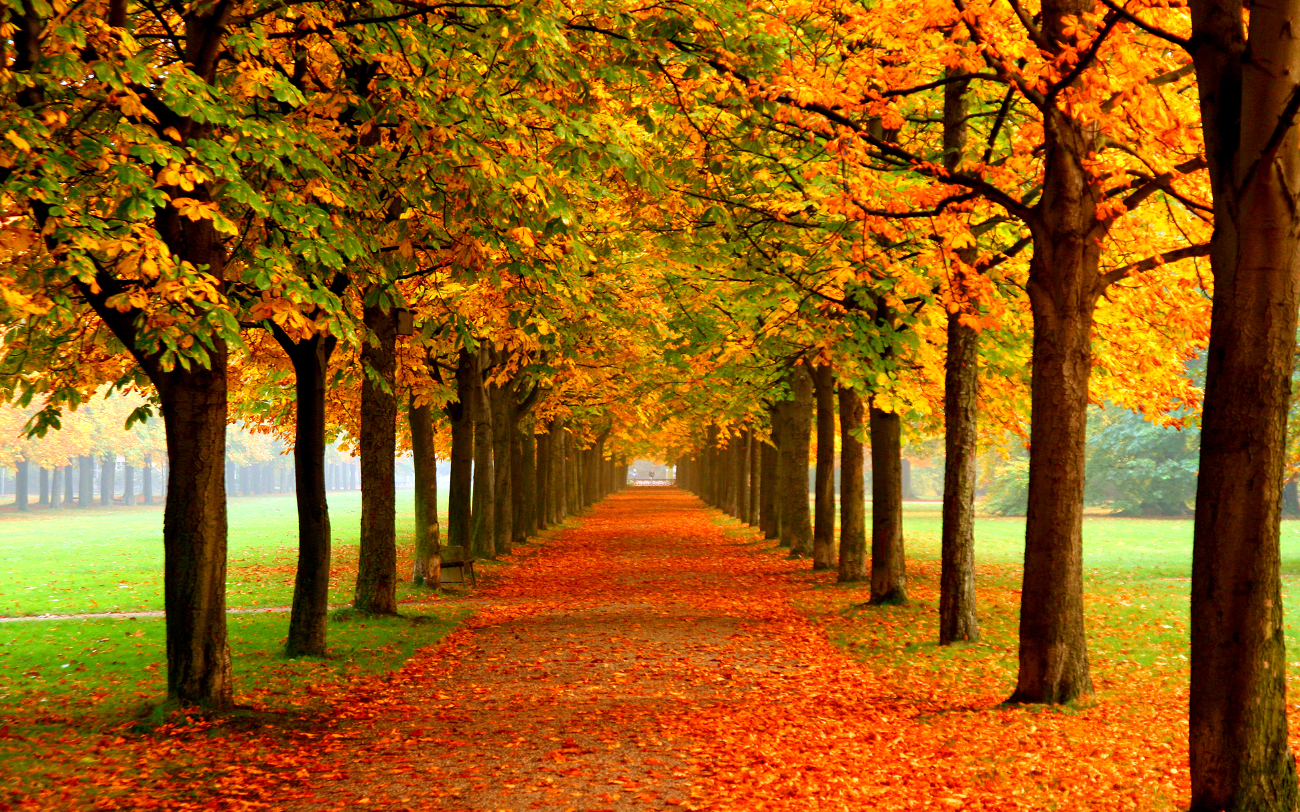 Autumn Colors Wallpapers