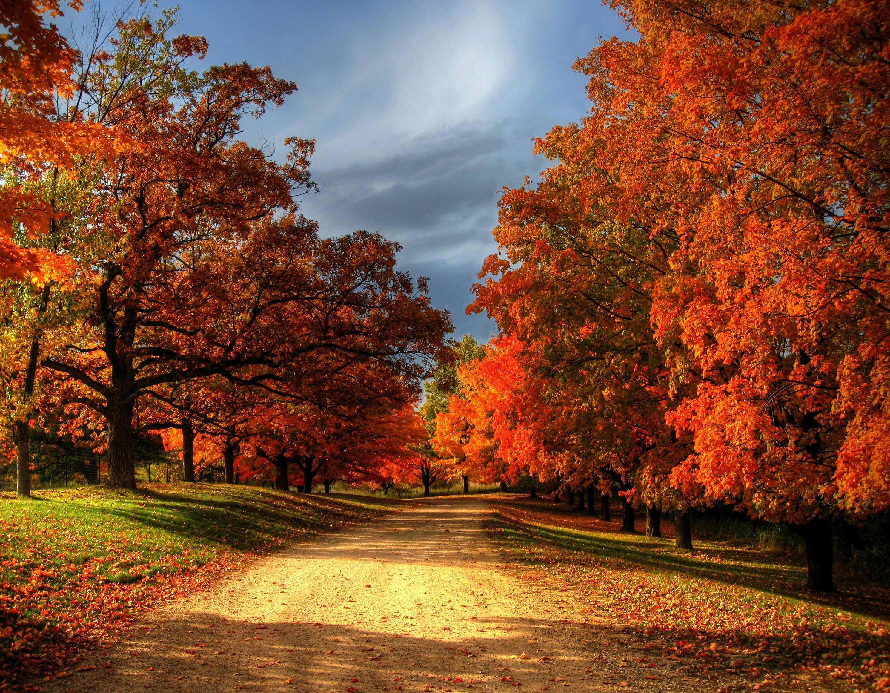 Autumn Colors Wallpapers