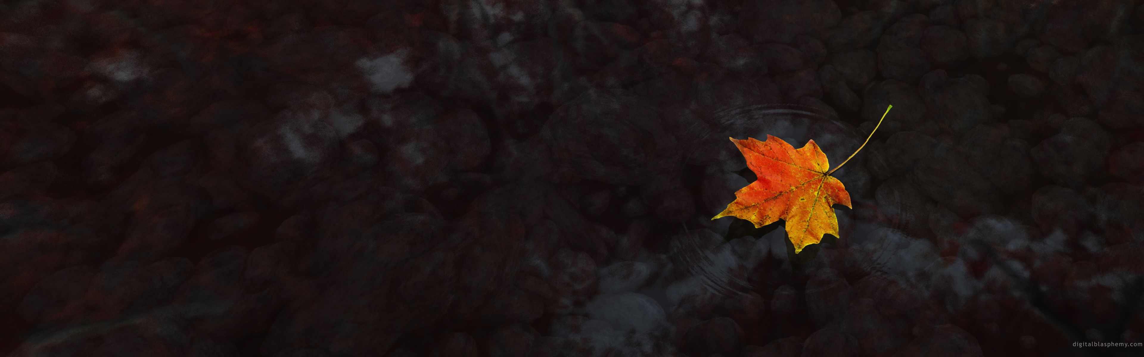 Autumn Dual Wallpapers