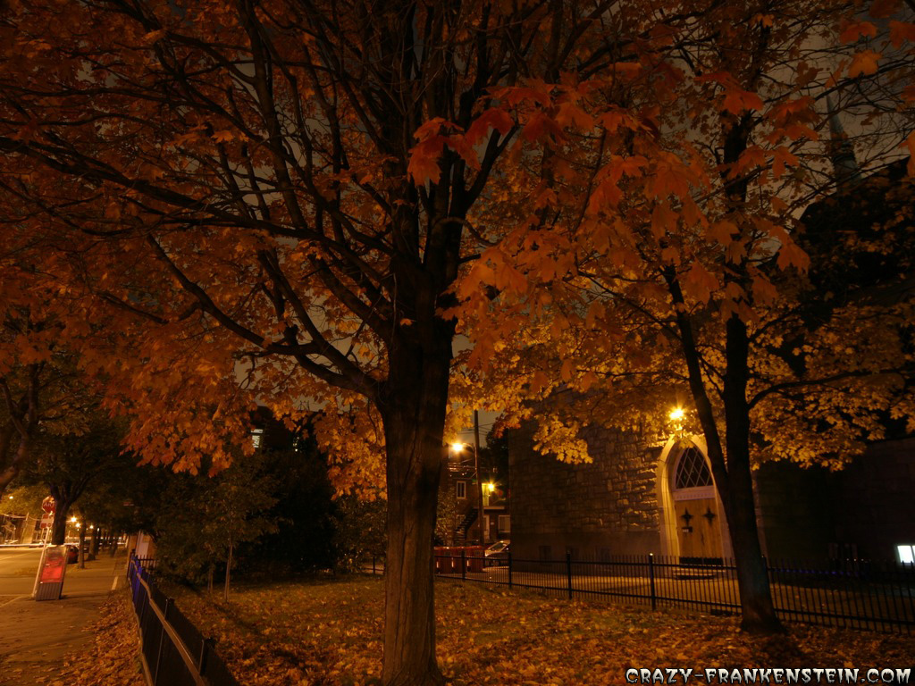 Autumn Evening Wallpapers