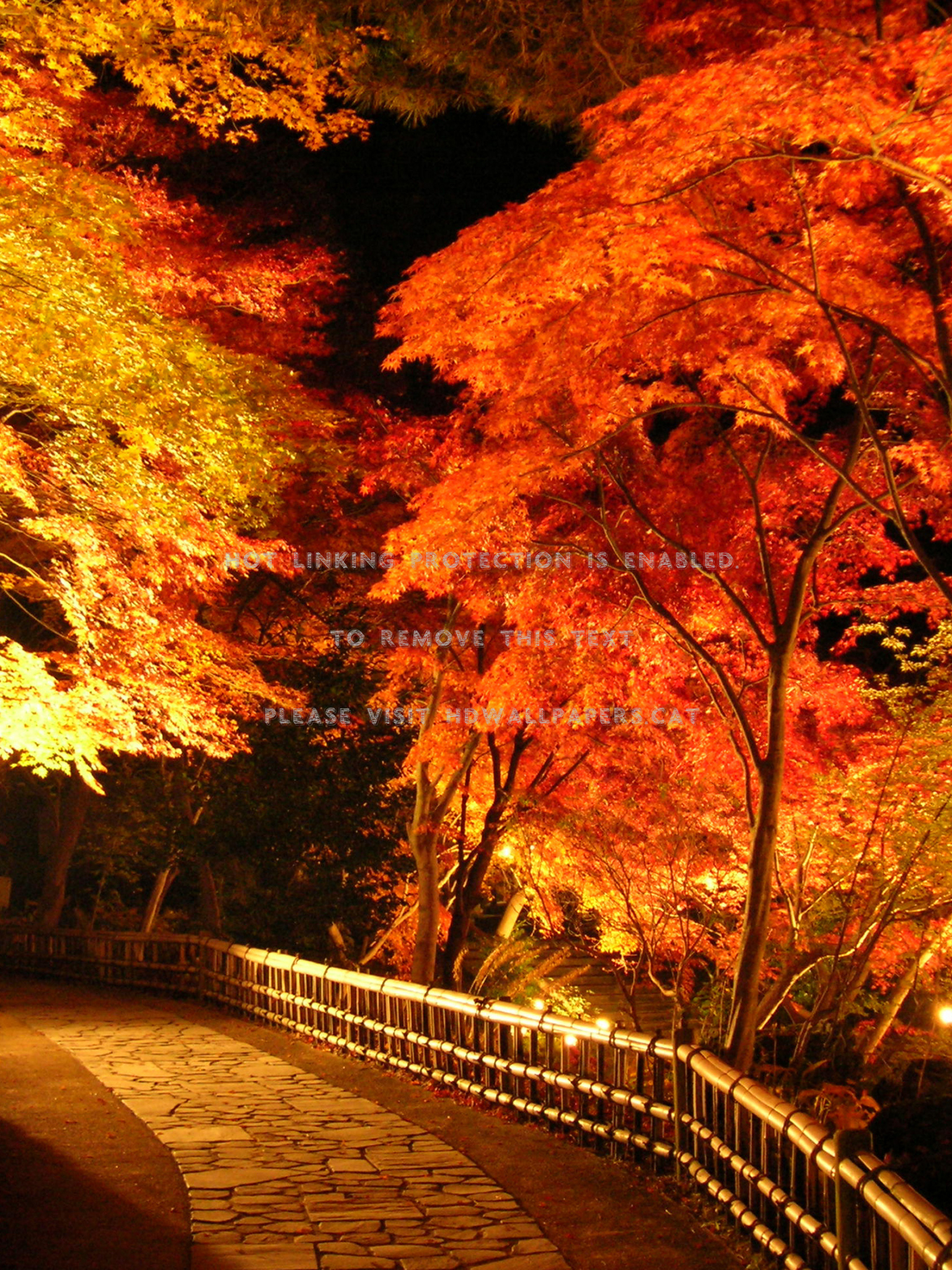 Autumn Evening Wallpapers