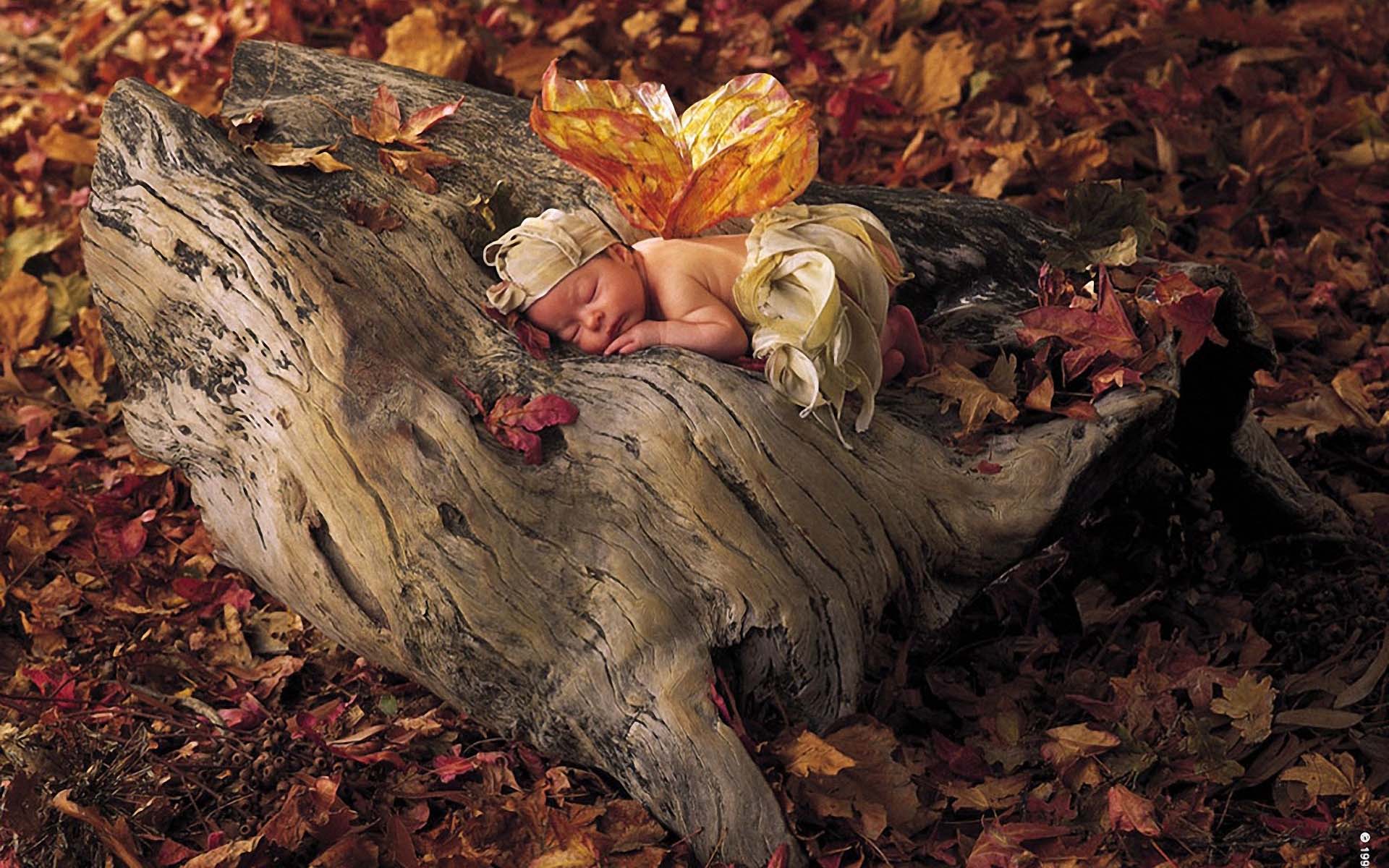 Autumn Fairy Wallpapers