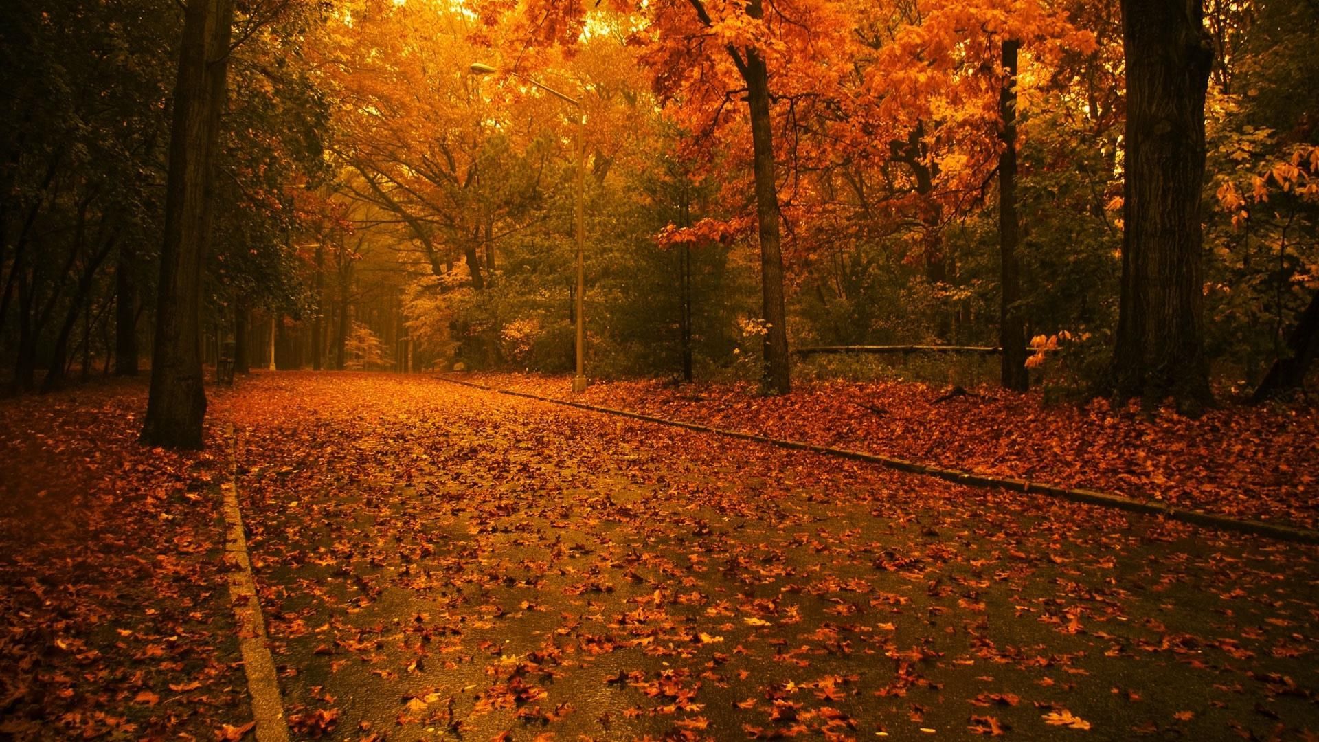 Autumn Fall Wallpapers