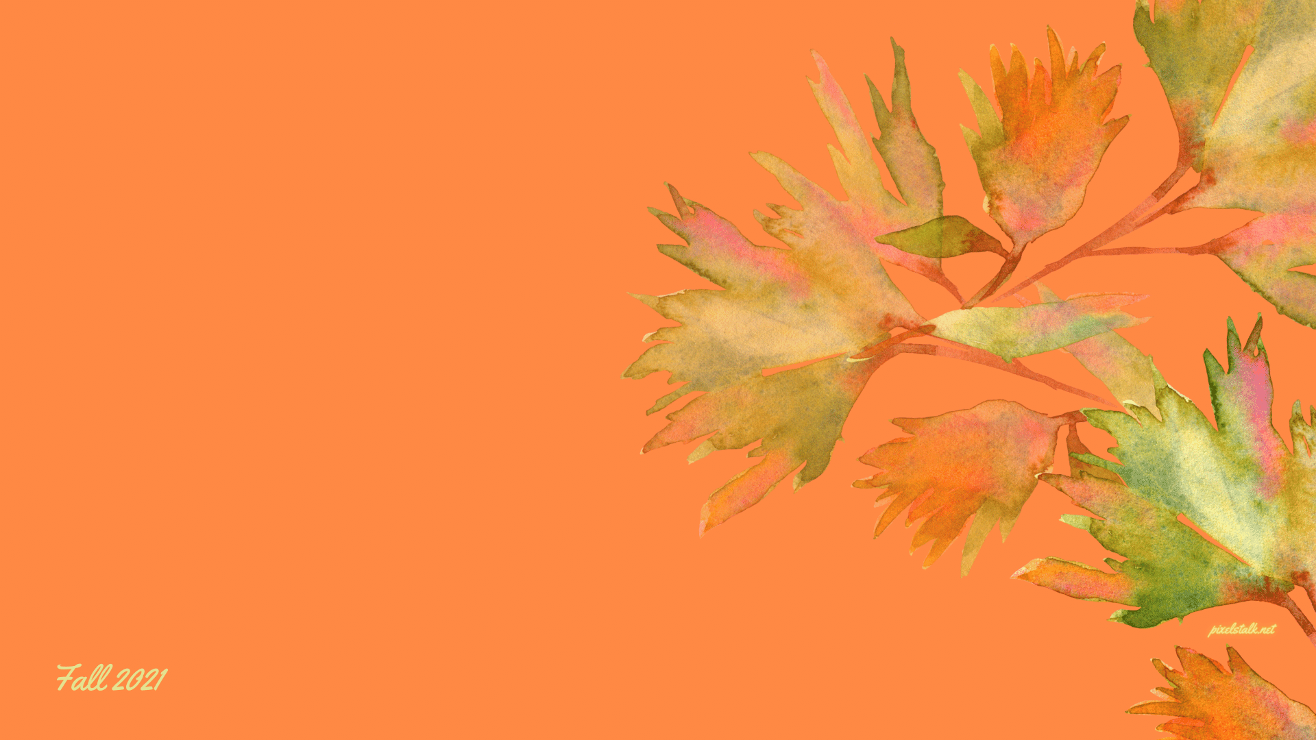 Autumn Fall Wallpapers