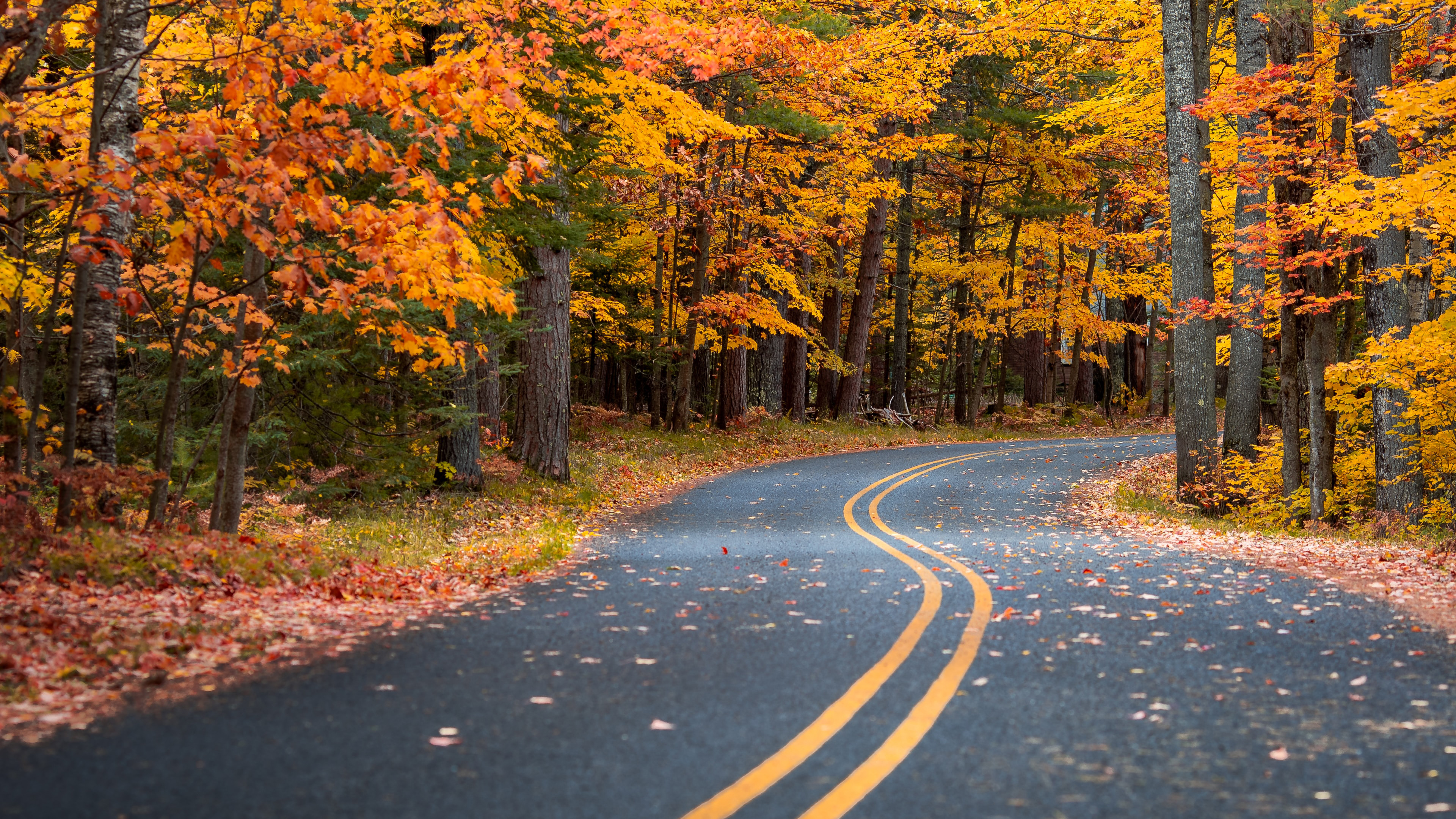 Autumn Fall Road Wallpapers