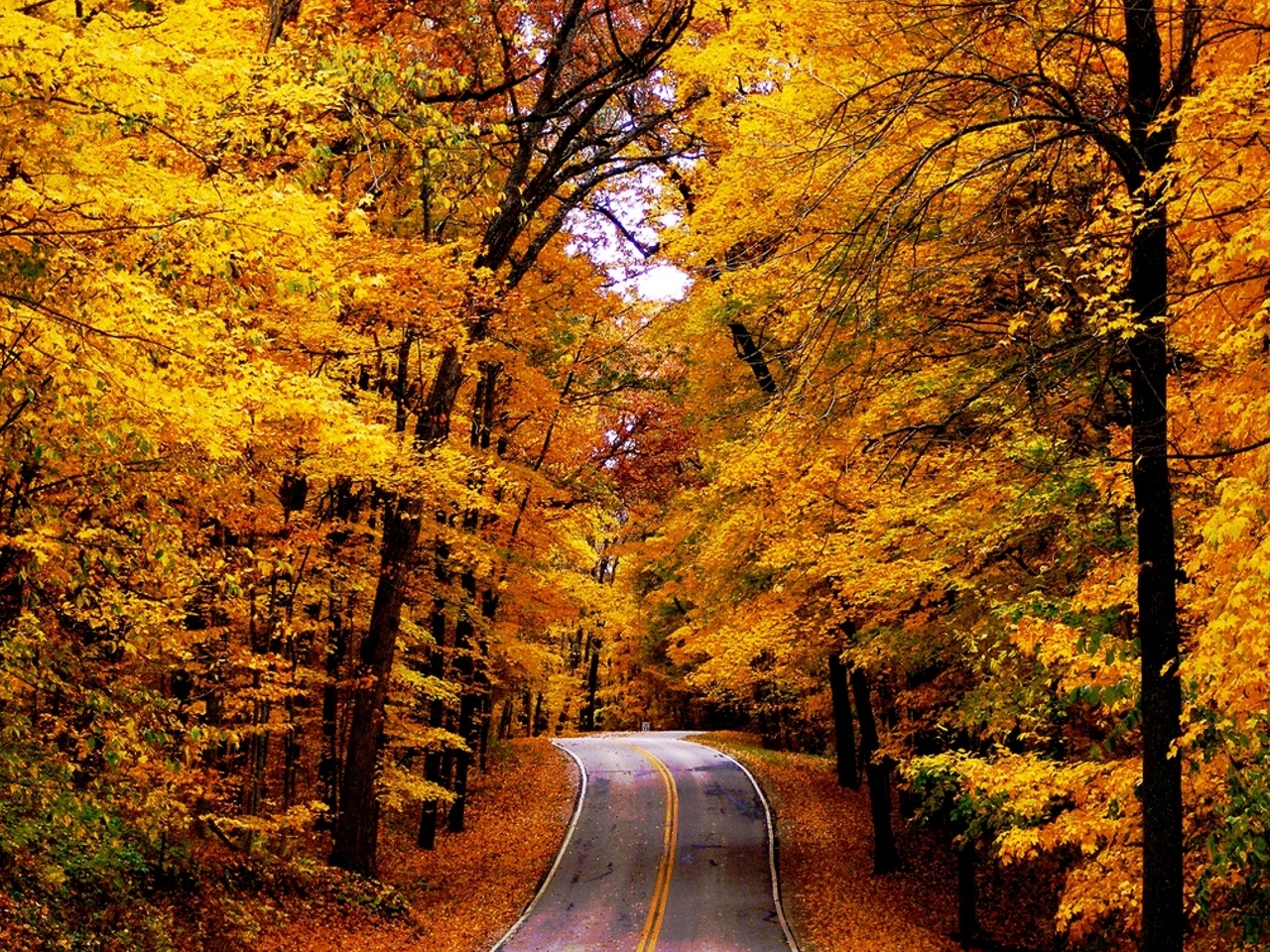 Autumn Fall Road Wallpapers