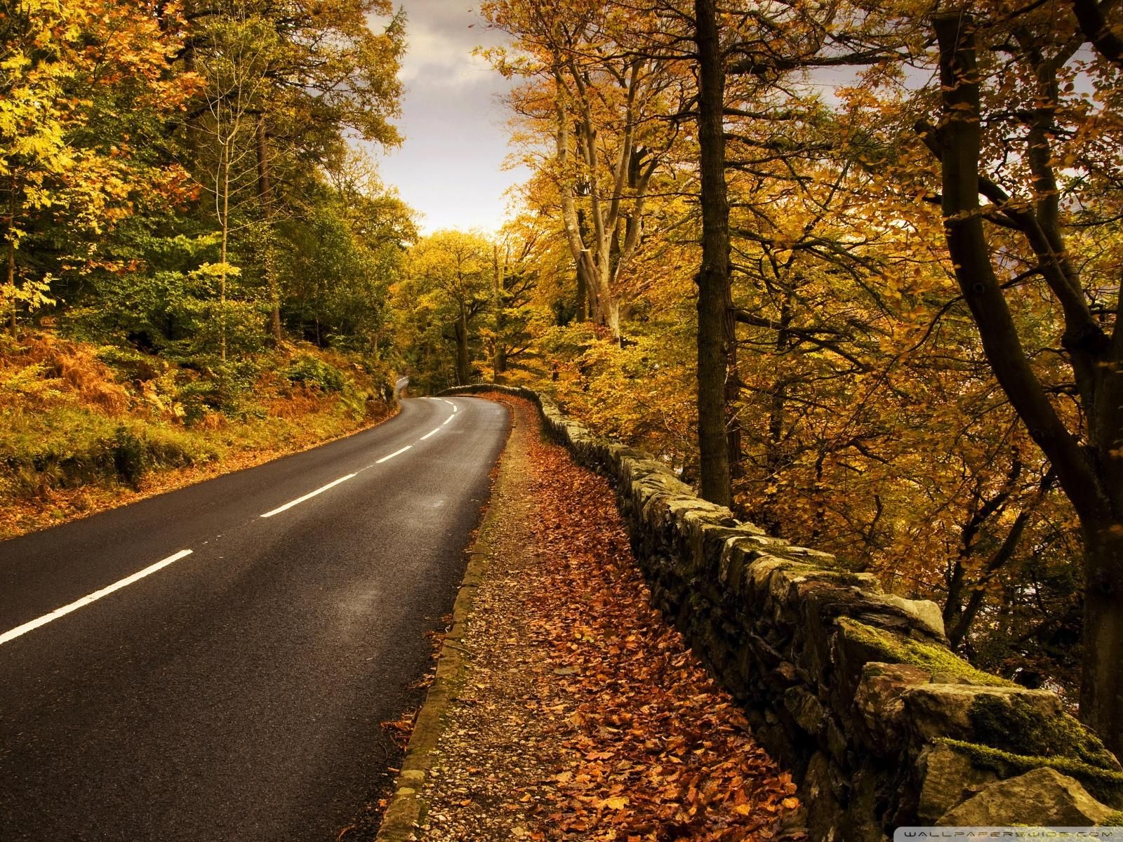 Autumn Fall Road Wallpapers