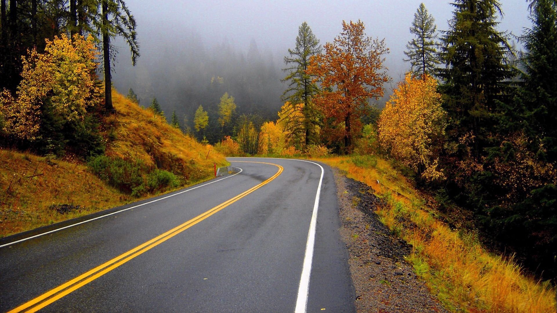 Autumn Fall Road Wallpapers