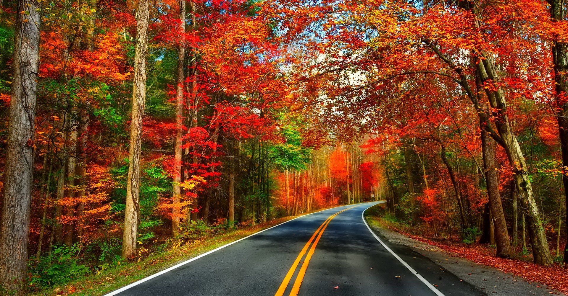 Autumn Fall Road Wallpapers