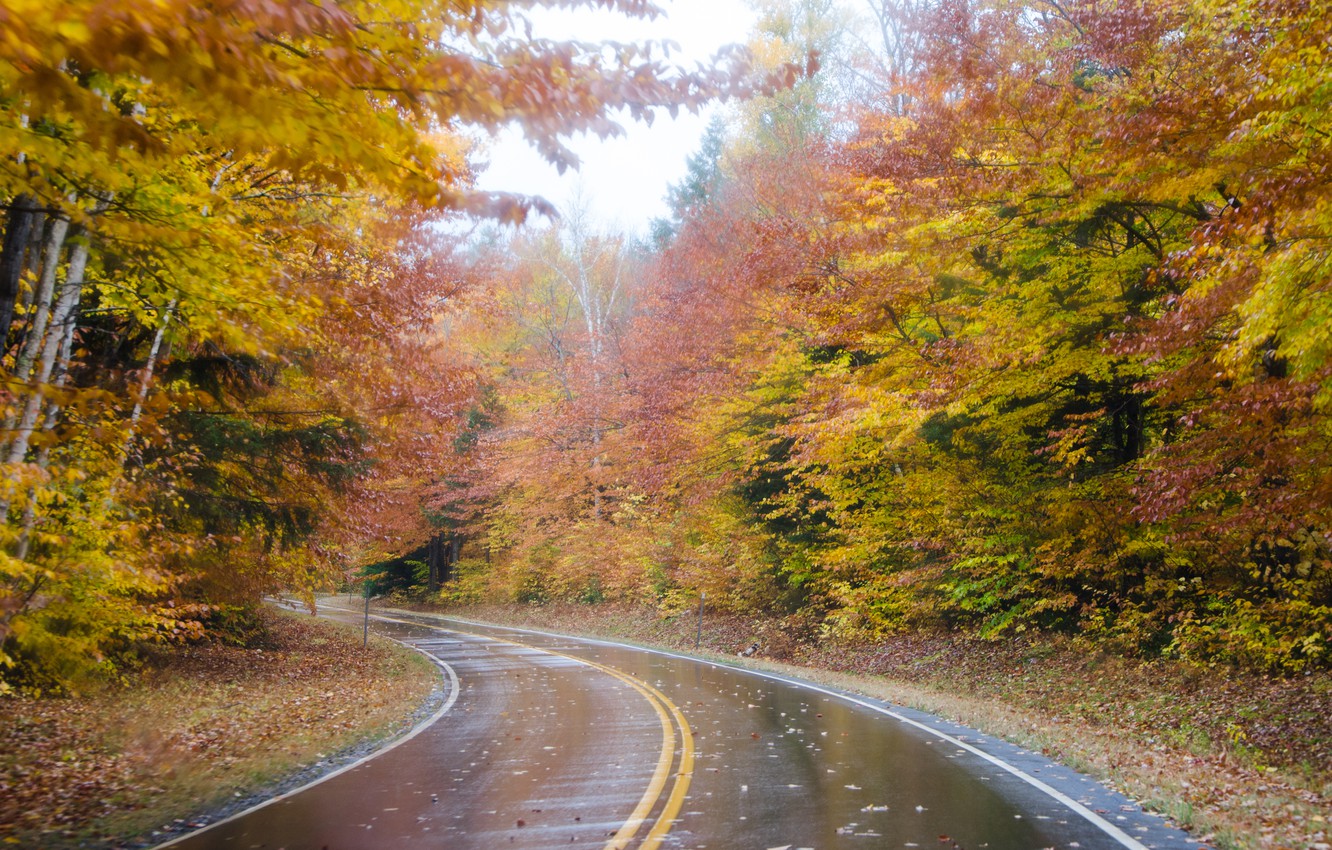 Autumn Fall Road Wallpapers