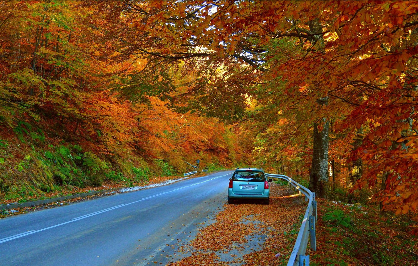 Autumn Fall Road Wallpapers