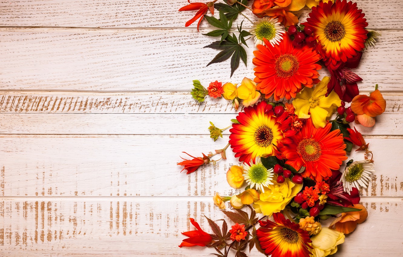 Autumn Floral Wallpapers