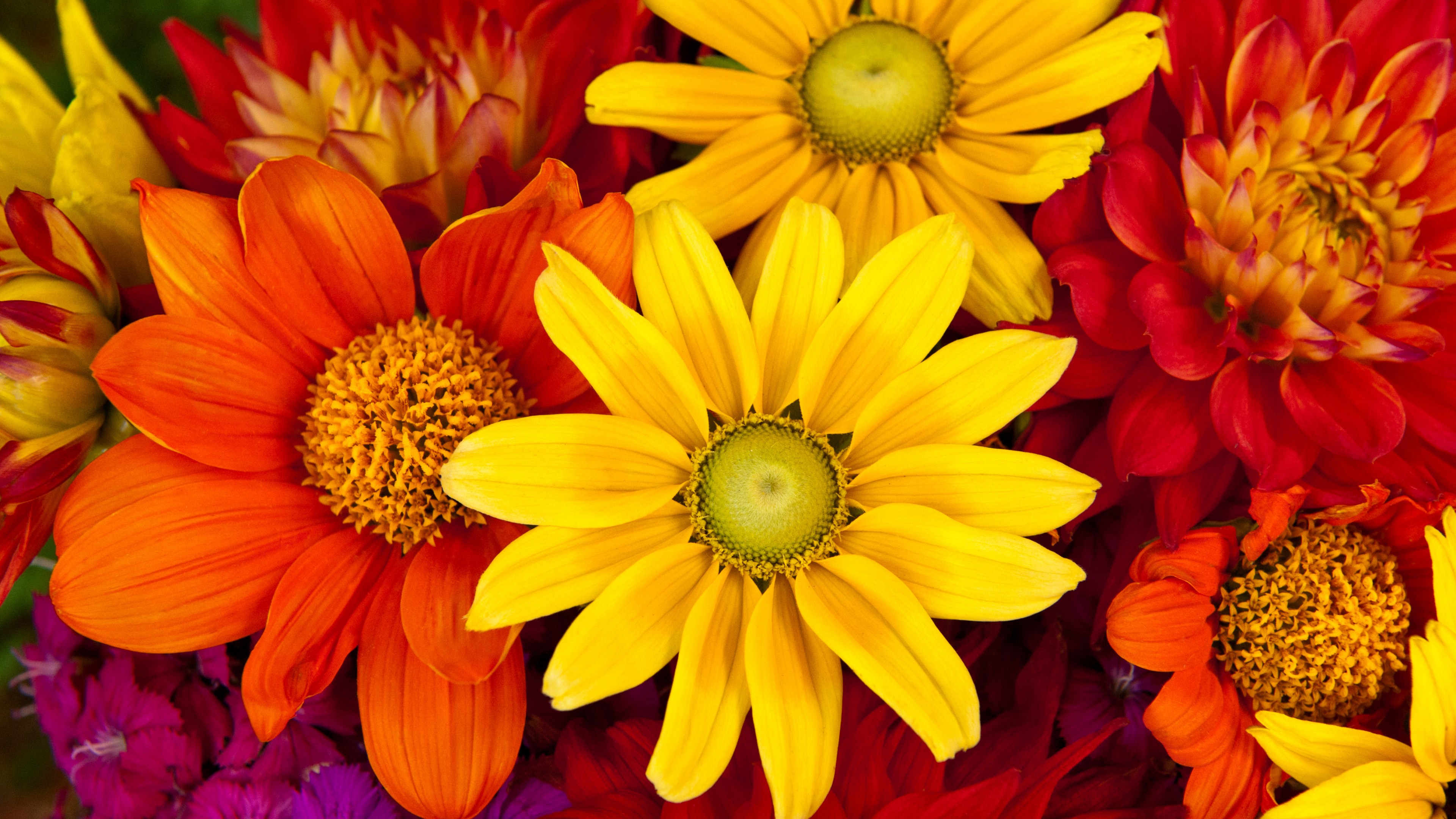 Autumn Floral Wallpapers