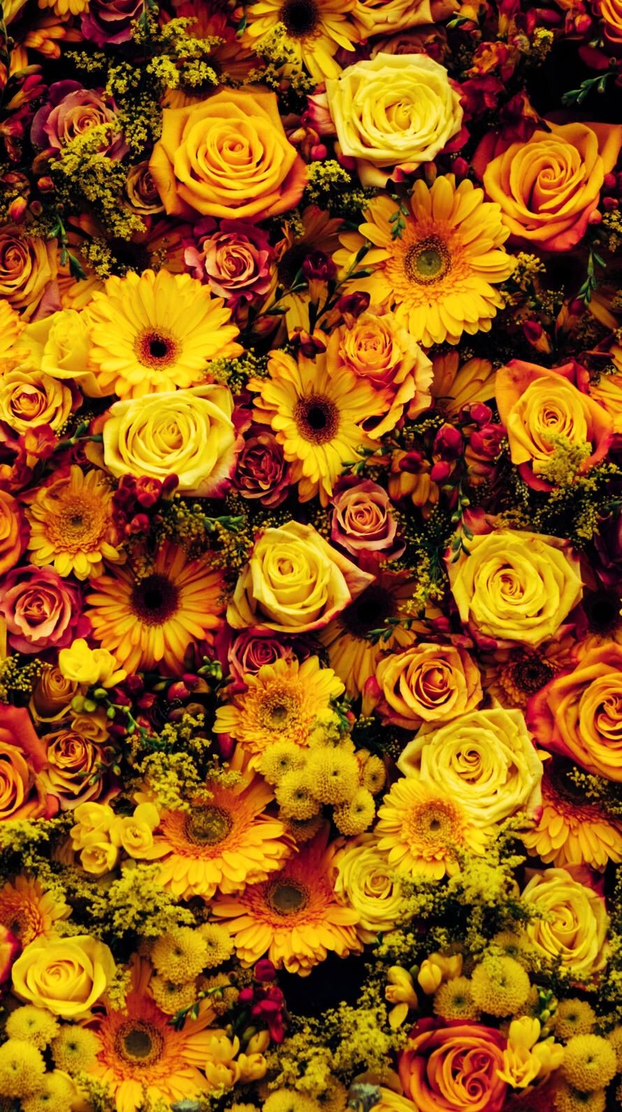 Autumn Flowers Desktop Wallpapers