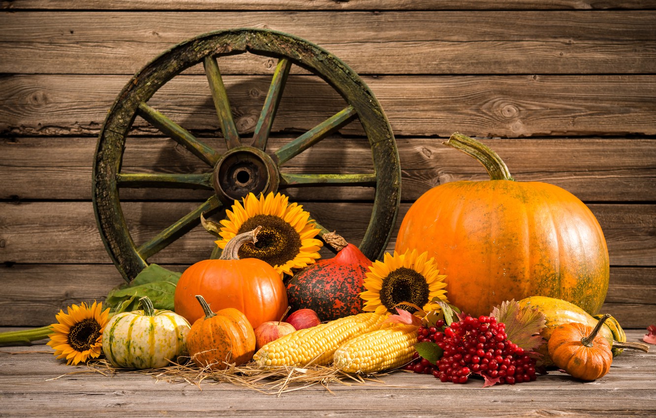 Autumn Harvest Pumpkin Wallpapers