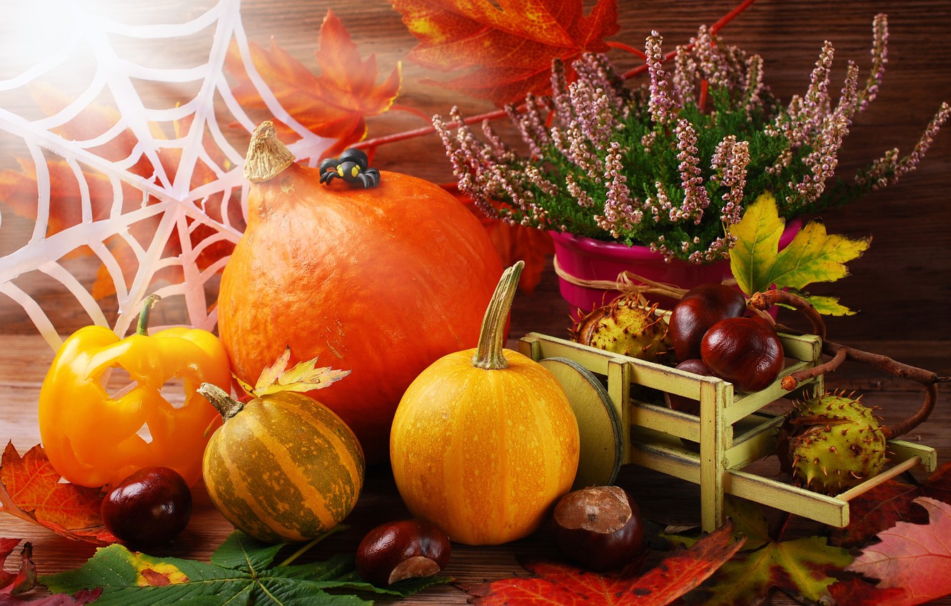 Autumn Harvest Pumpkin Wallpapers