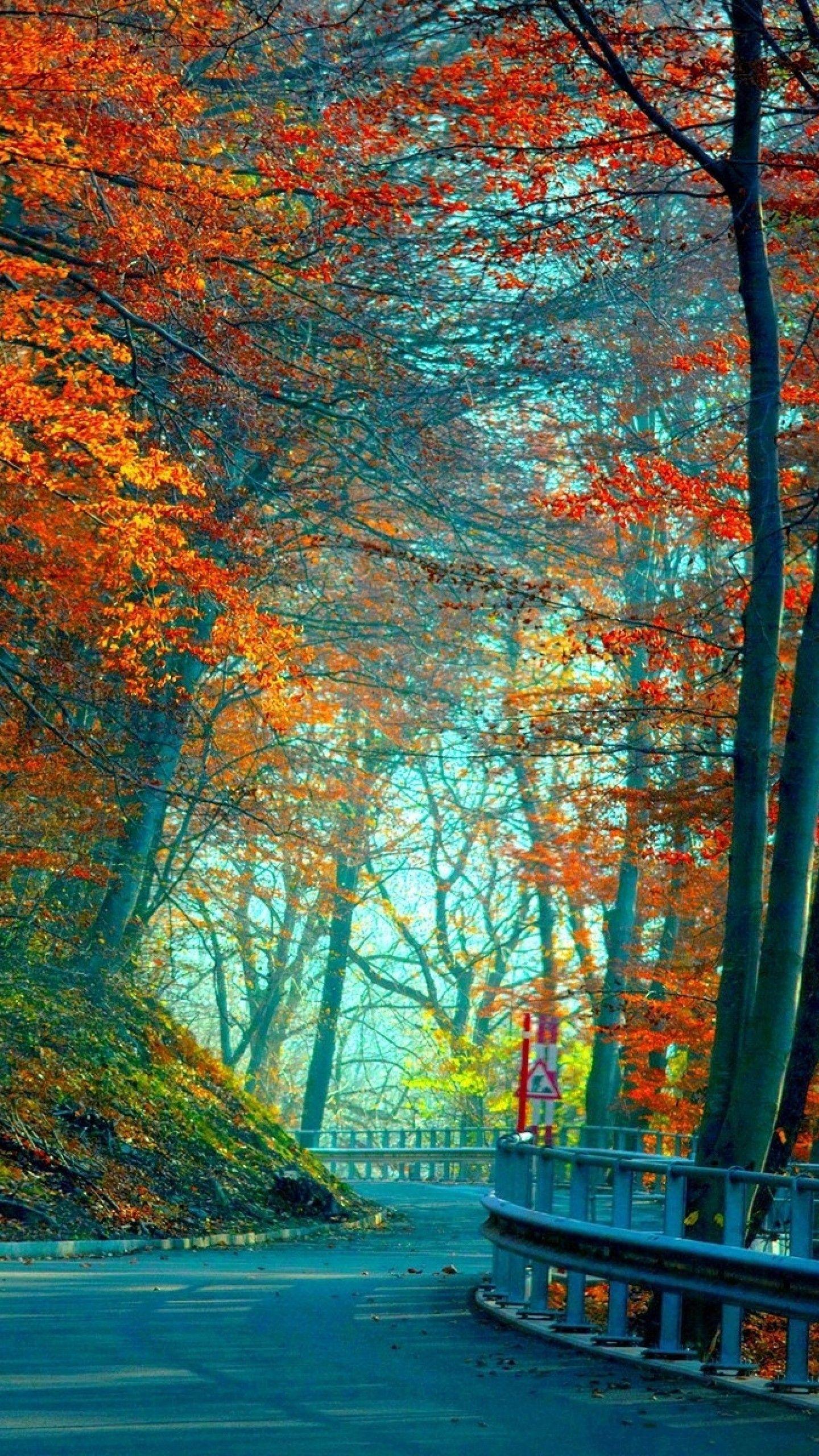 Autumn Hd Mobile Wallpapers