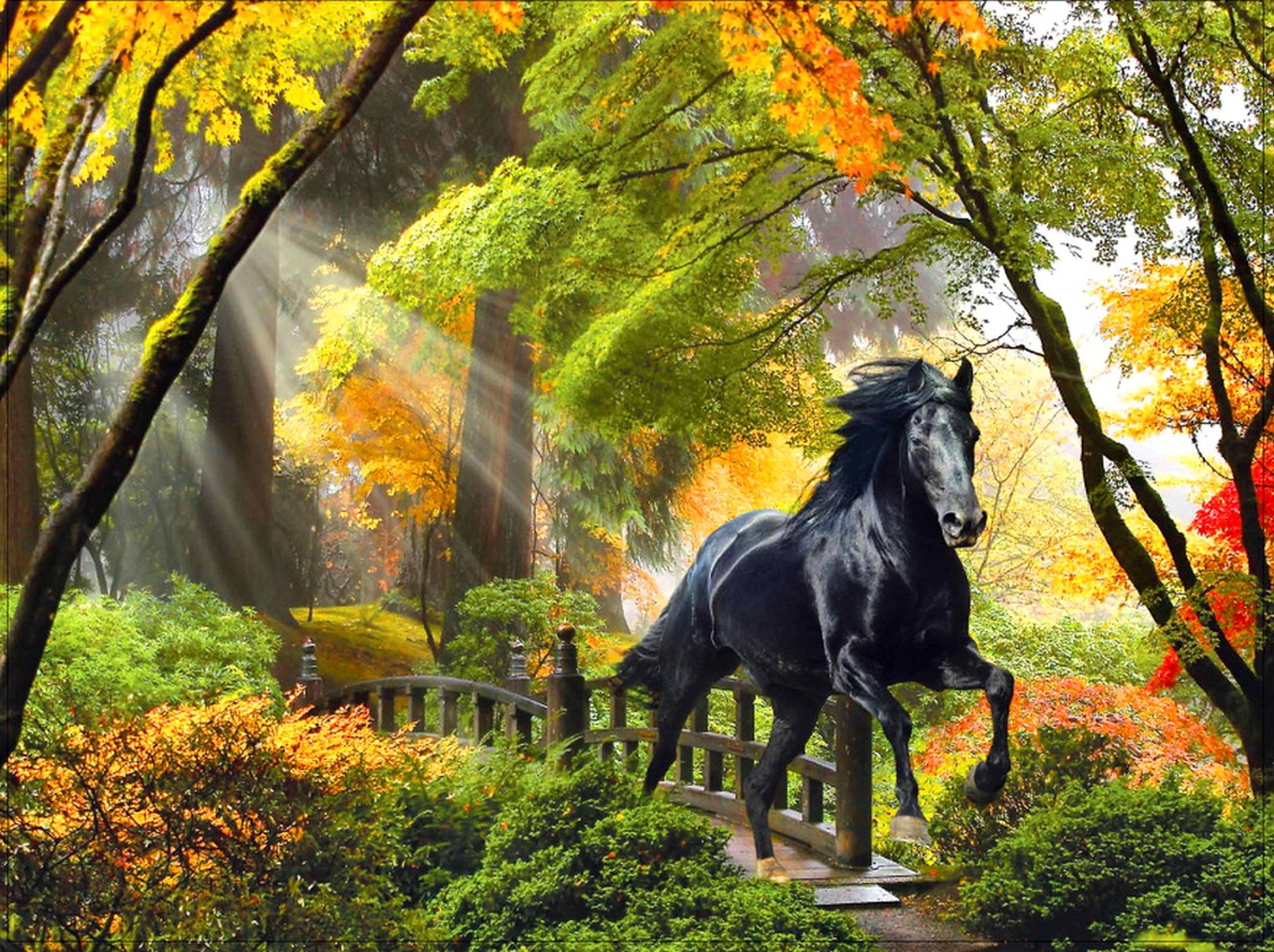 Autumn Horse Wallpapers