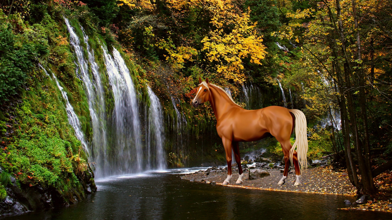 Autumn Horse Wallpapers