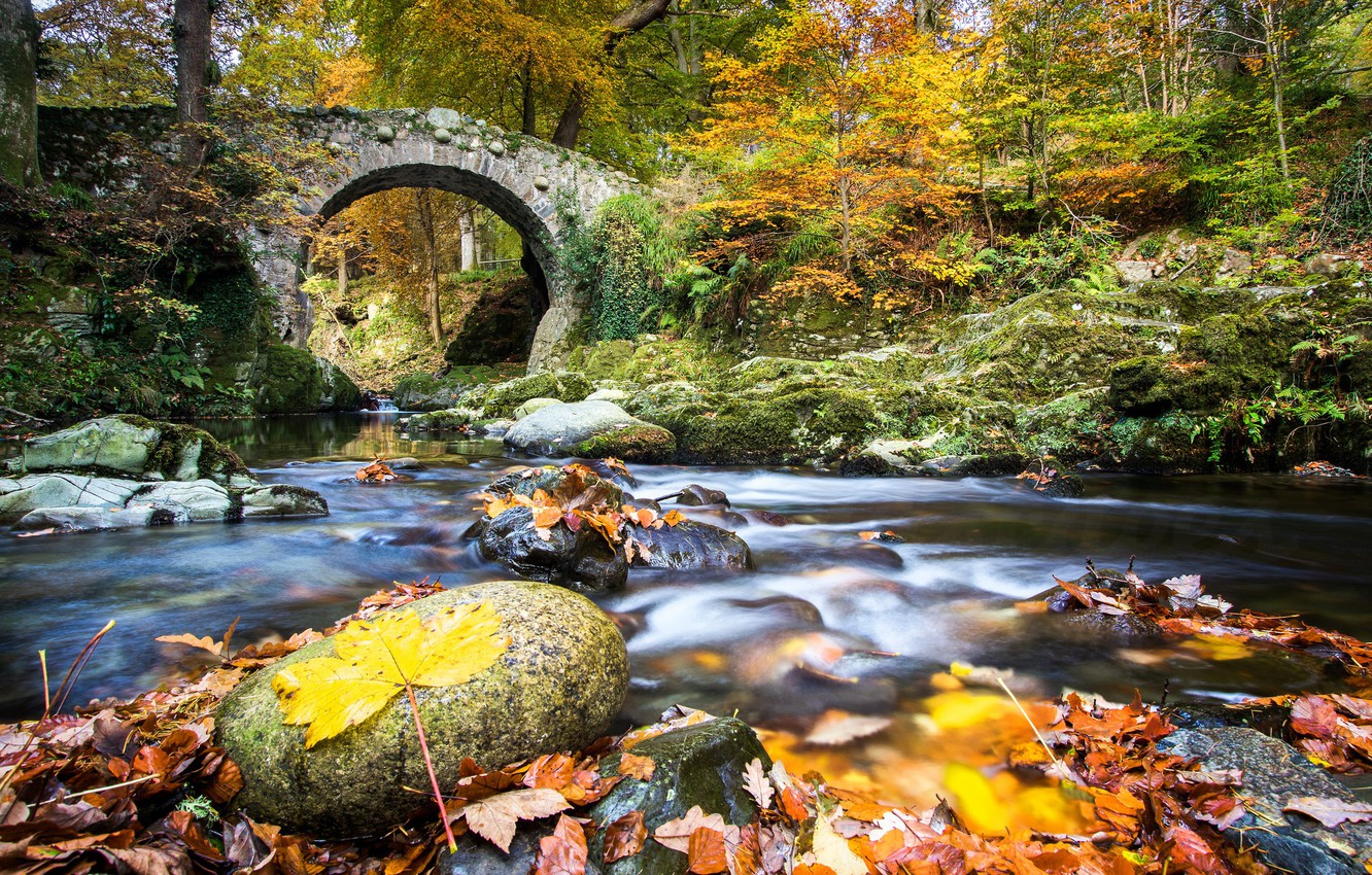 Autumn In Ireland Wallpapers