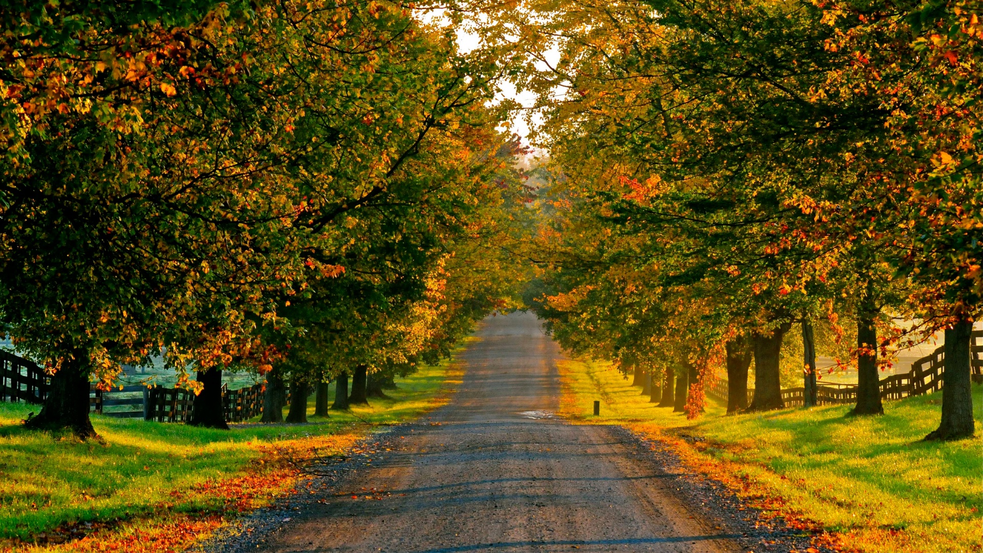 Autumn In Ireland Wallpapers