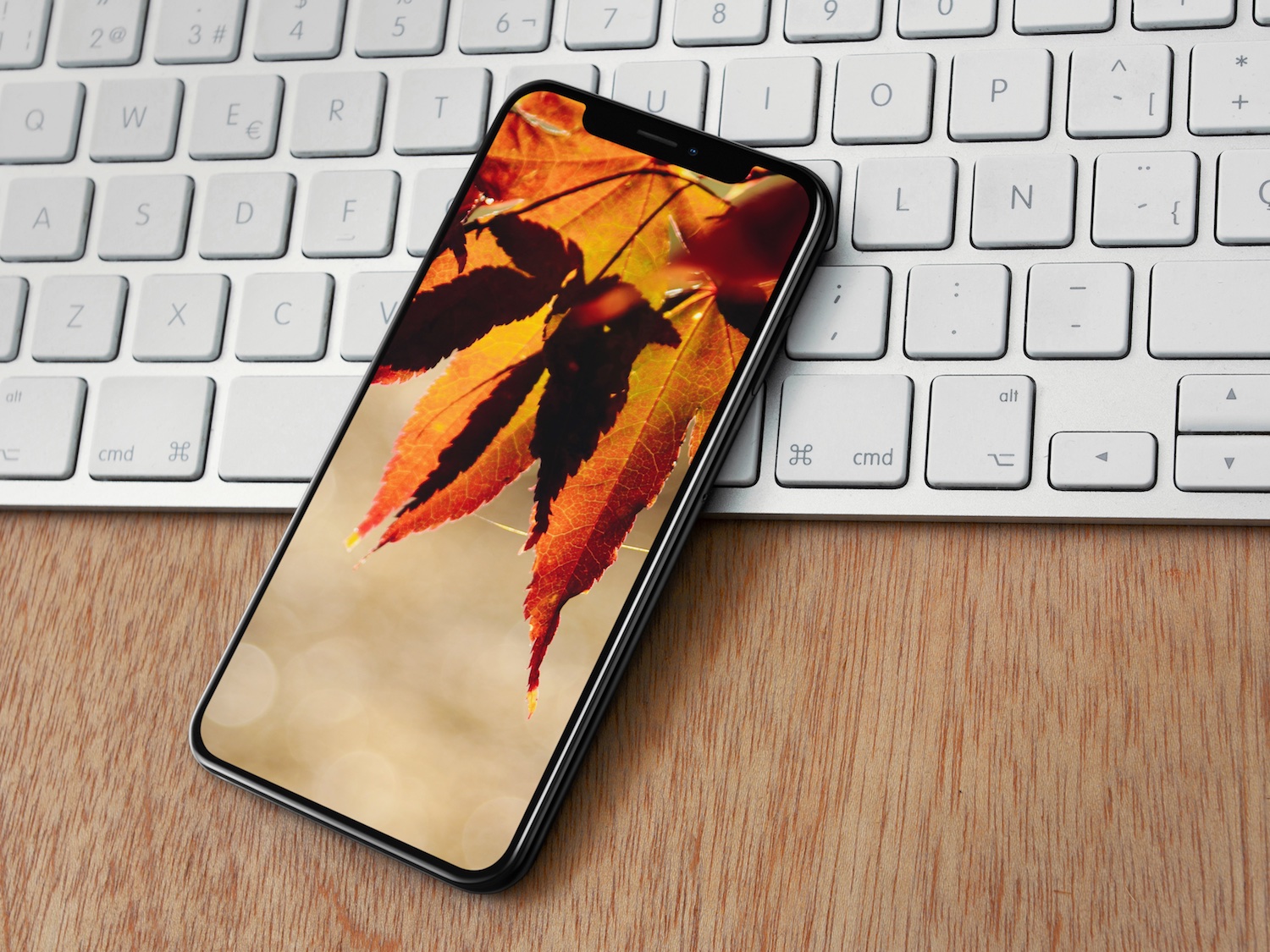 Autumn Iphone 11 Pro Max Wallpapers