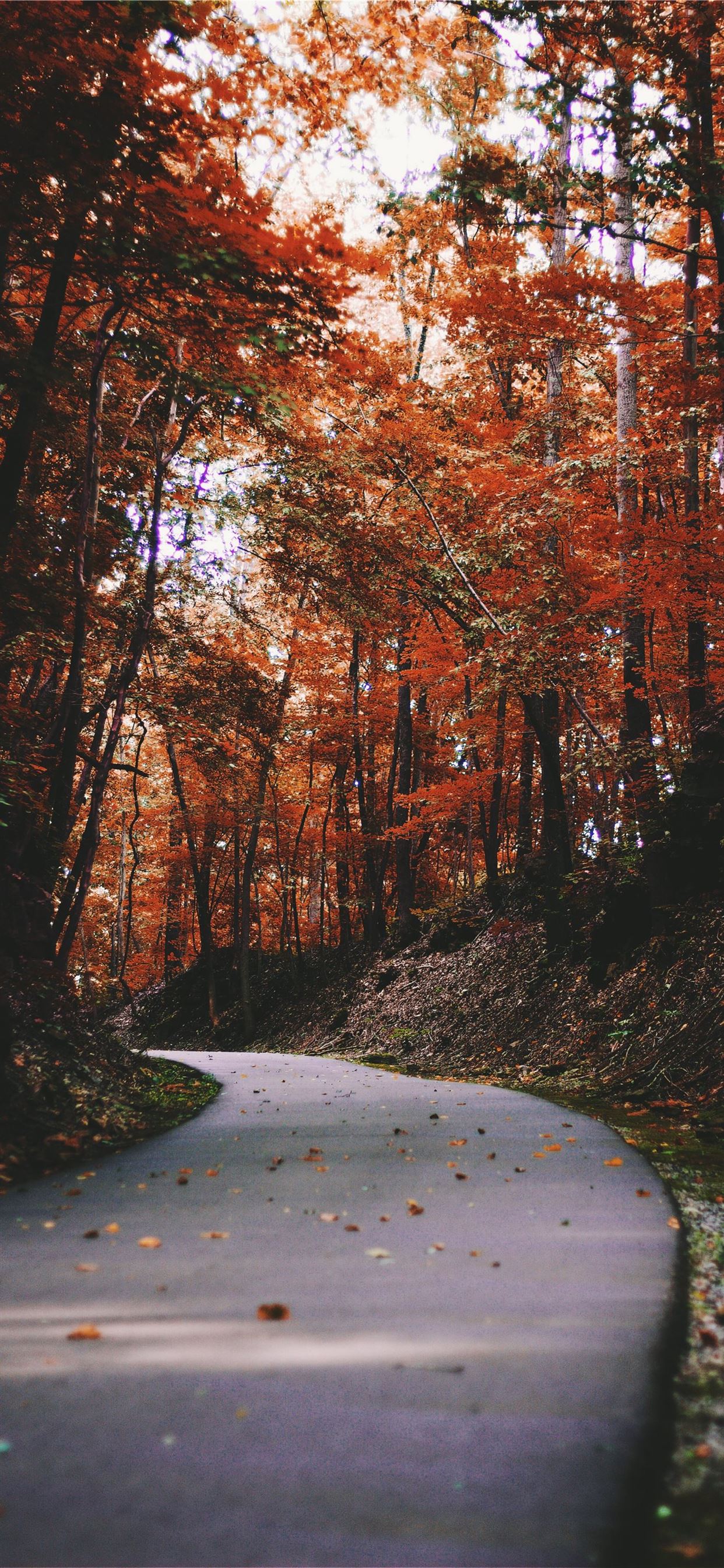 Autumn Iphone 11 Pro Max Wallpapers