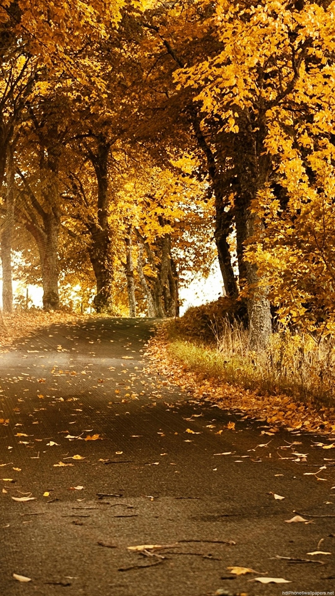 Autumn Iphone 6 Plus Wallpapers