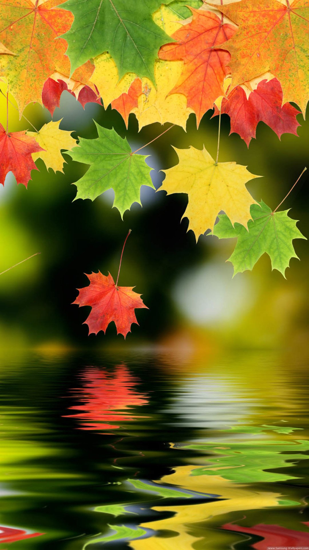 Autumn Iphone 6 Plus Wallpapers