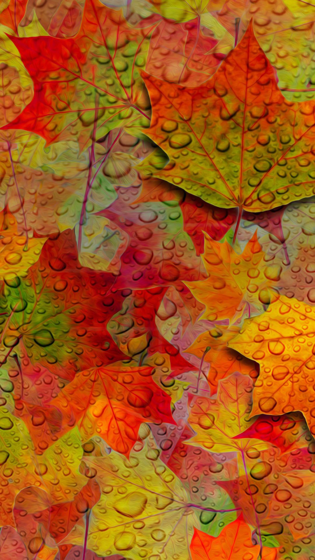 Autumn Iphone 6 Plus Wallpapers