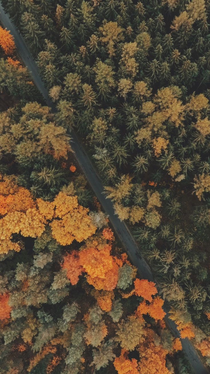 Autumn Iphone X Wallpapers