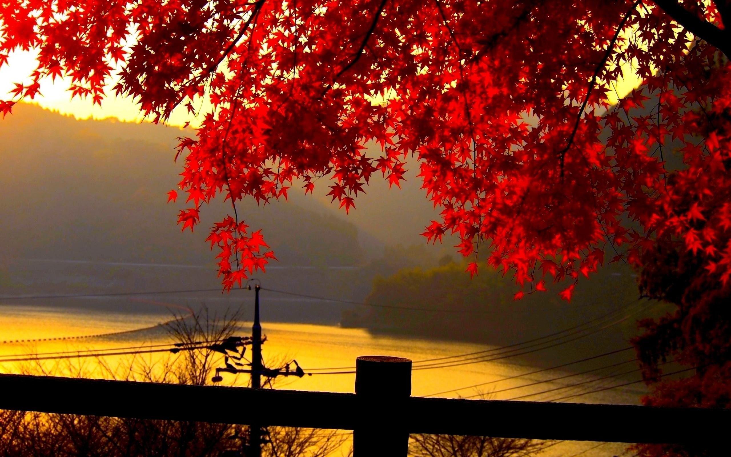 Autumn Landscape Wallpapers