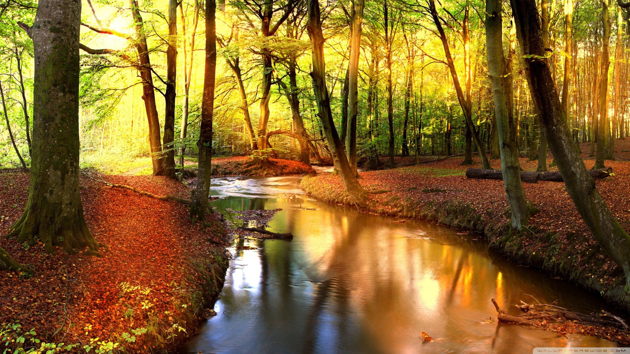 Autumn Landscape Wallpapers