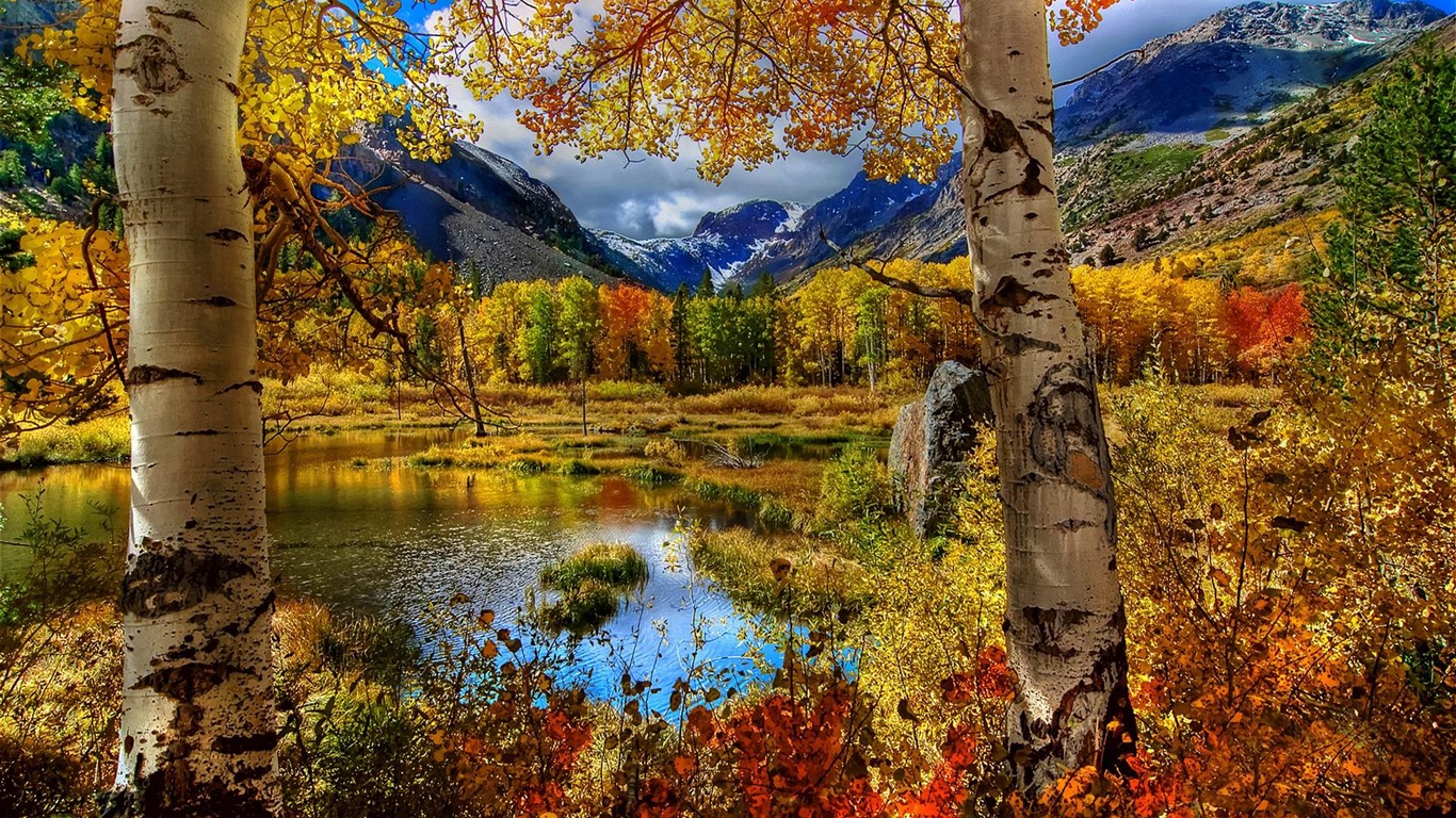 Autumn Landscape Wallpapers