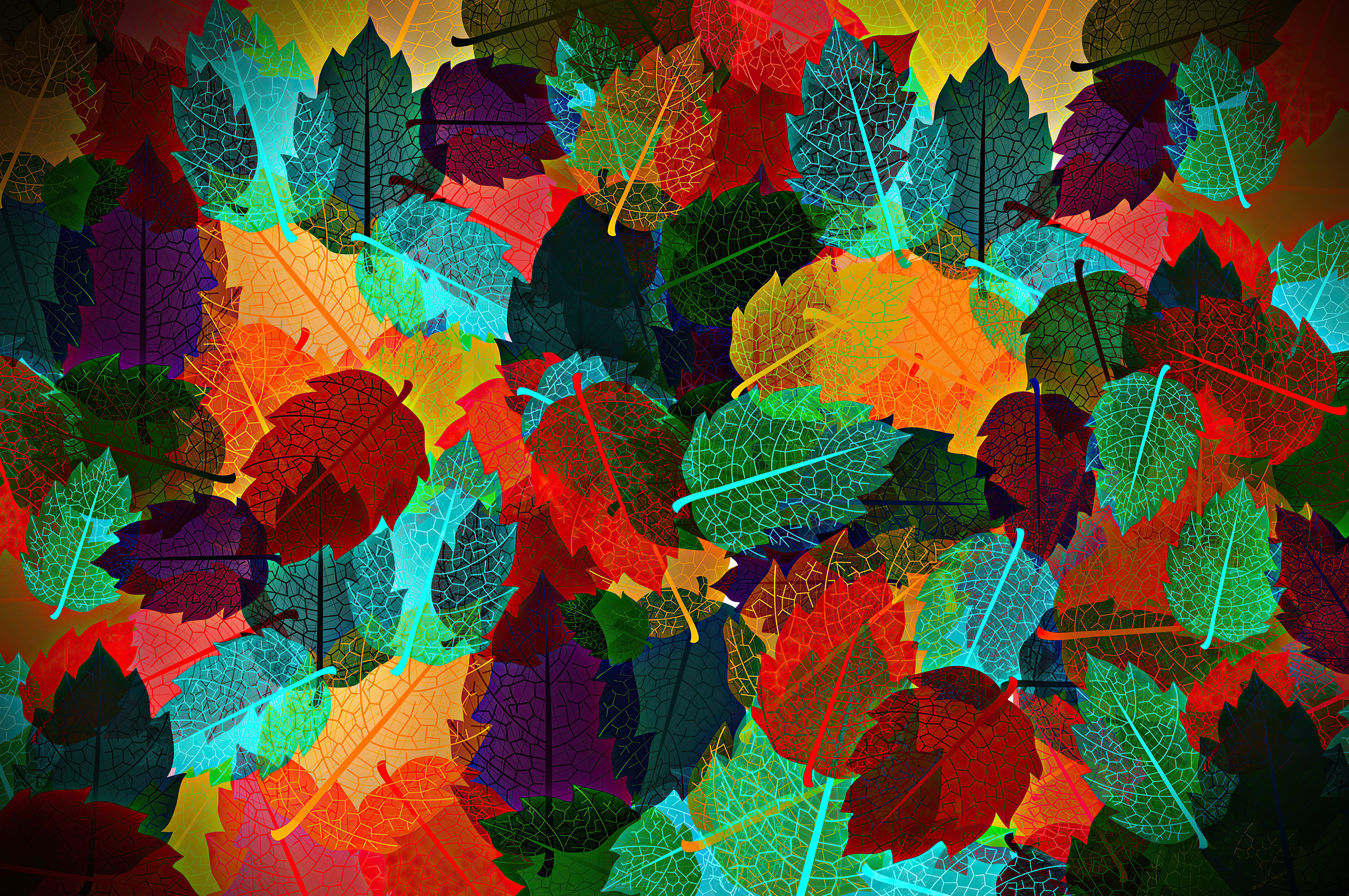 Autumn Leaves 4K Wallpapers