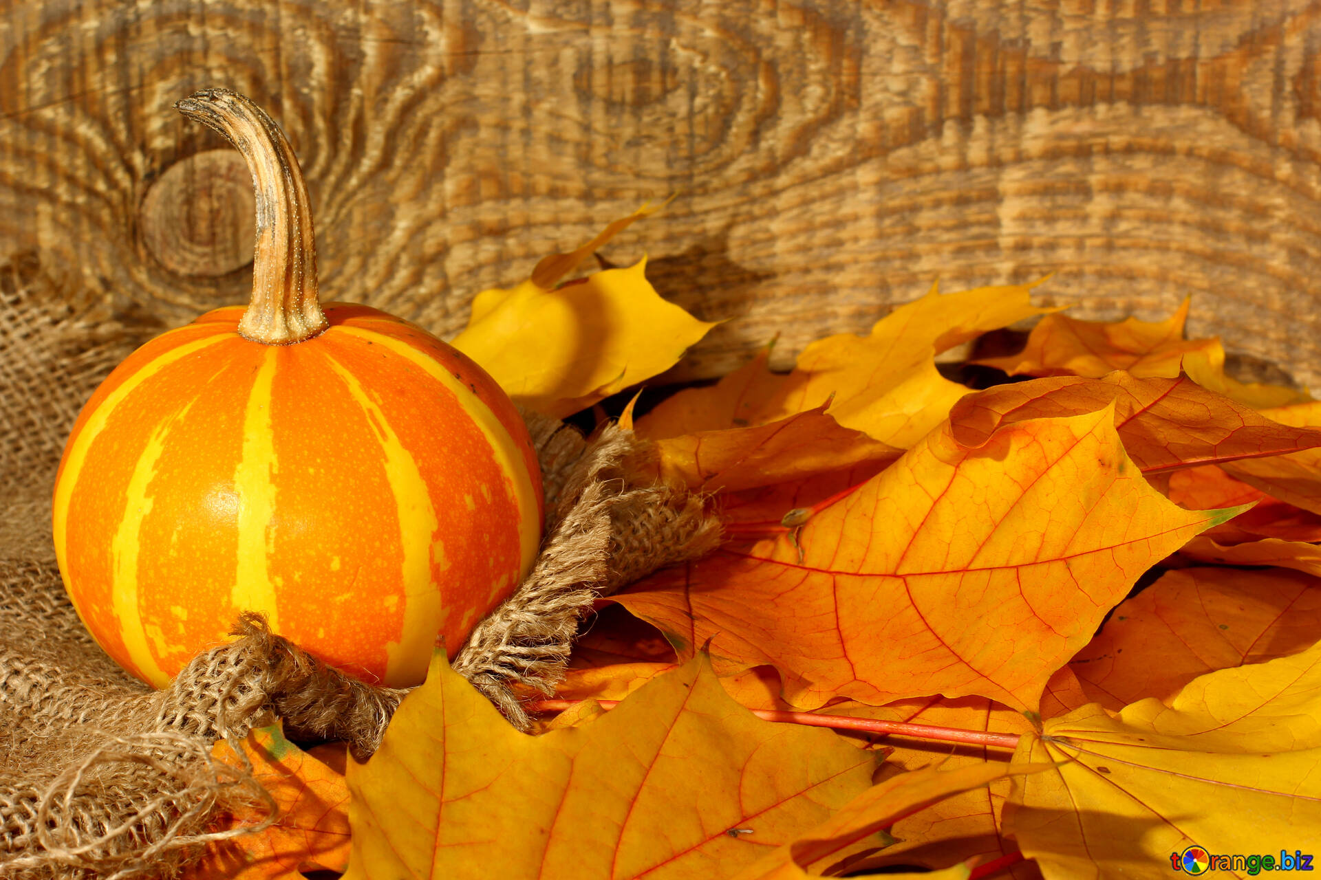 Autumn Leaves With Pumpkins Wallpapers