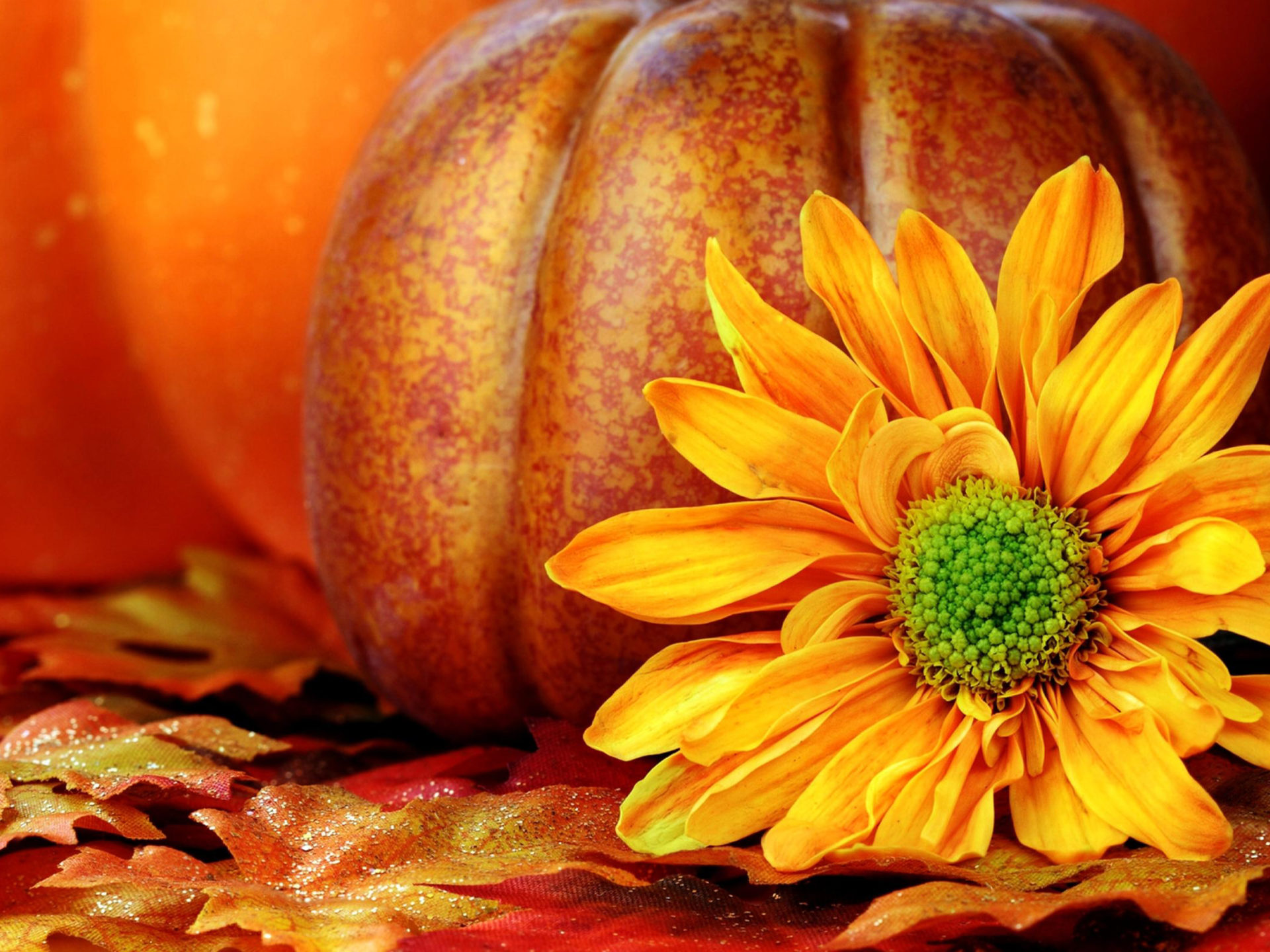 Autumn Leaves With Pumpkins Wallpapers