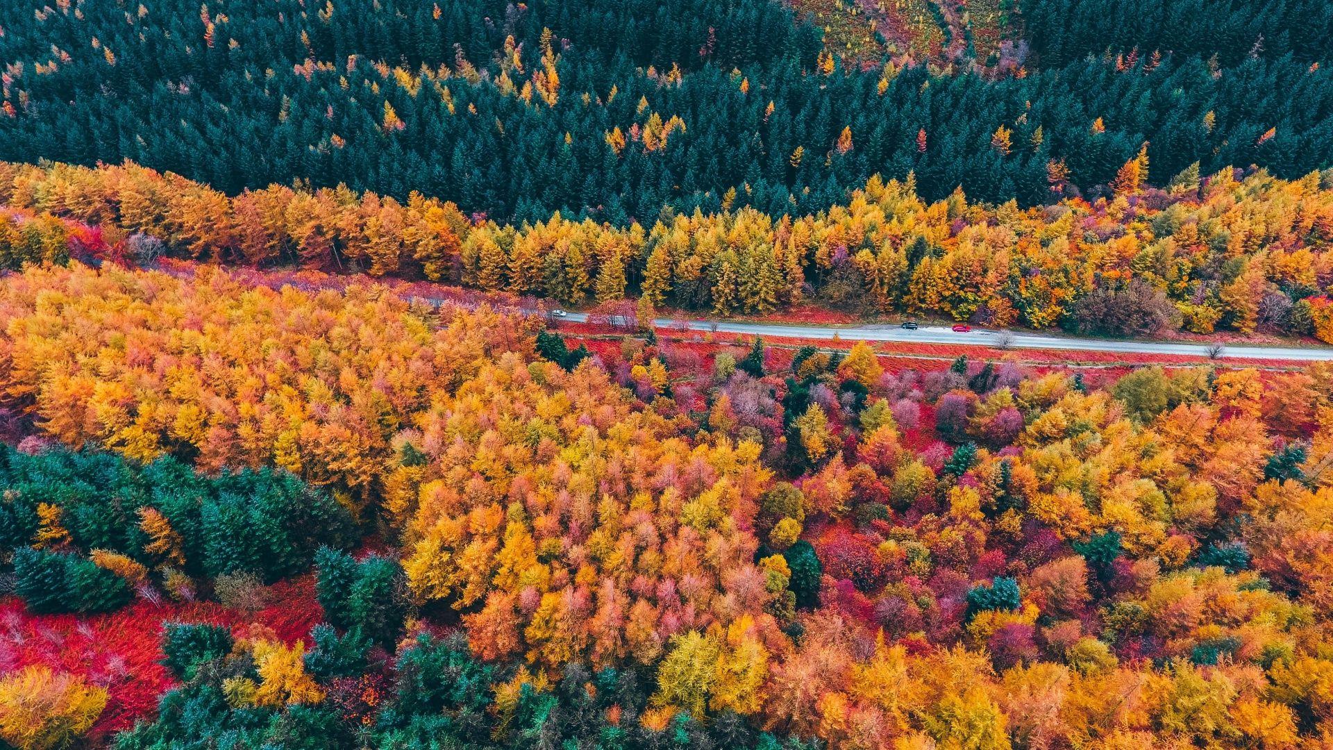 Autumn Macbook Wallpapers