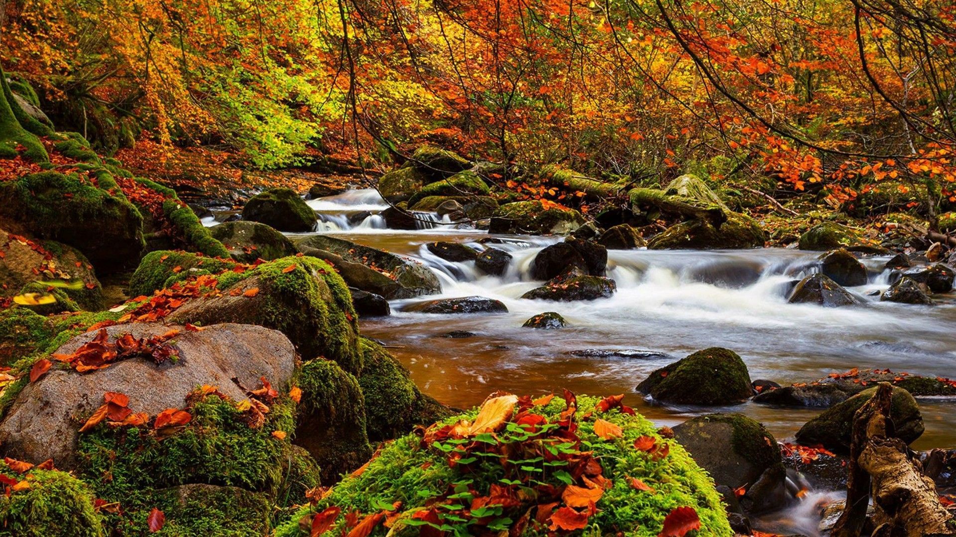 Autumn Mountain Stream Wallpapers